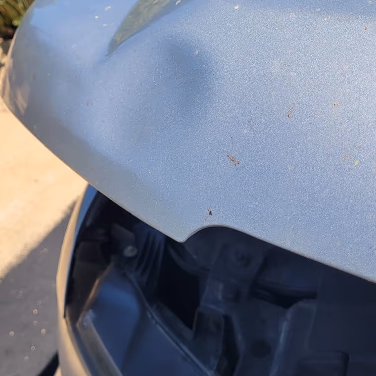 Medium Dent paintless dent repair example, priced $275 to $500