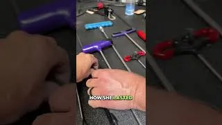 Sharp Tesla Body Line Dent