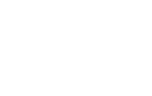 Electrica Logo