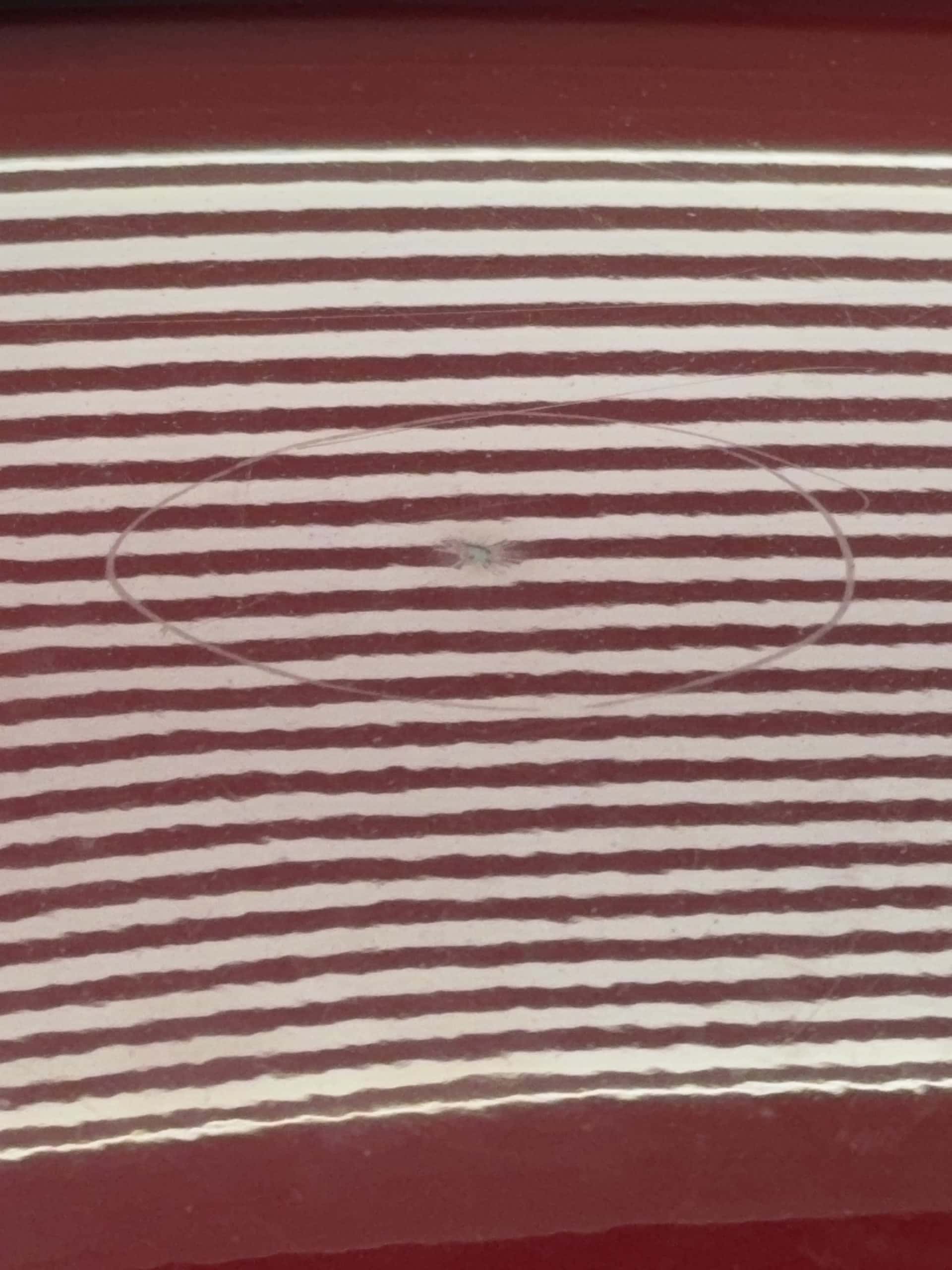 BMW PDR Escondido - iteration process tap down and push